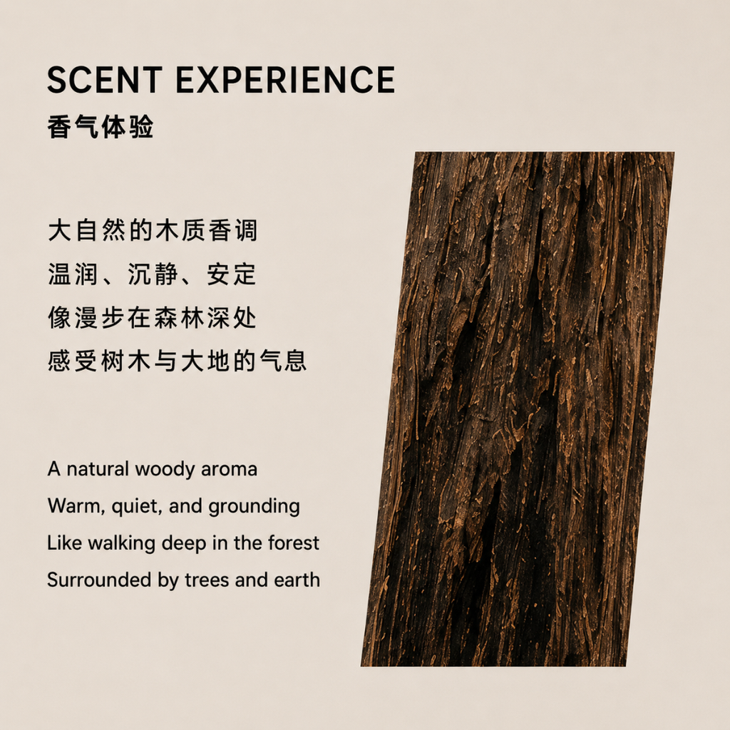 Incense Stick 星洲系线香