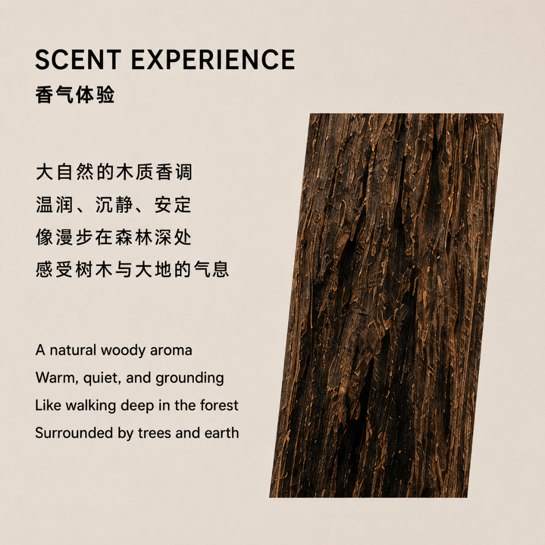 Incense Stick 星洲系线香