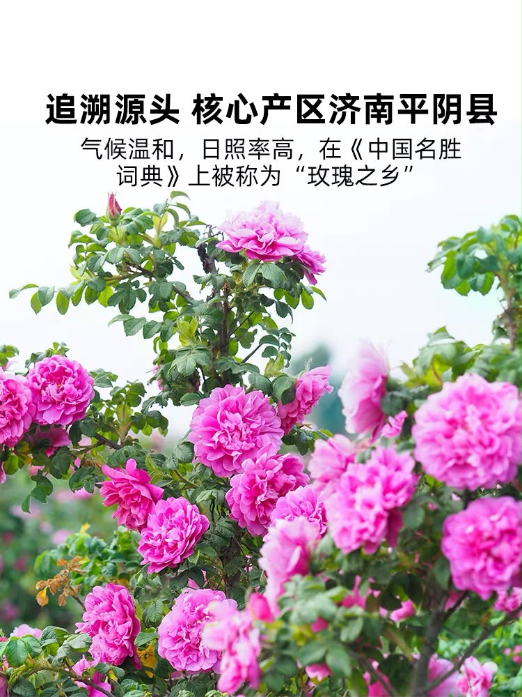 Rosebud Tea (15g)